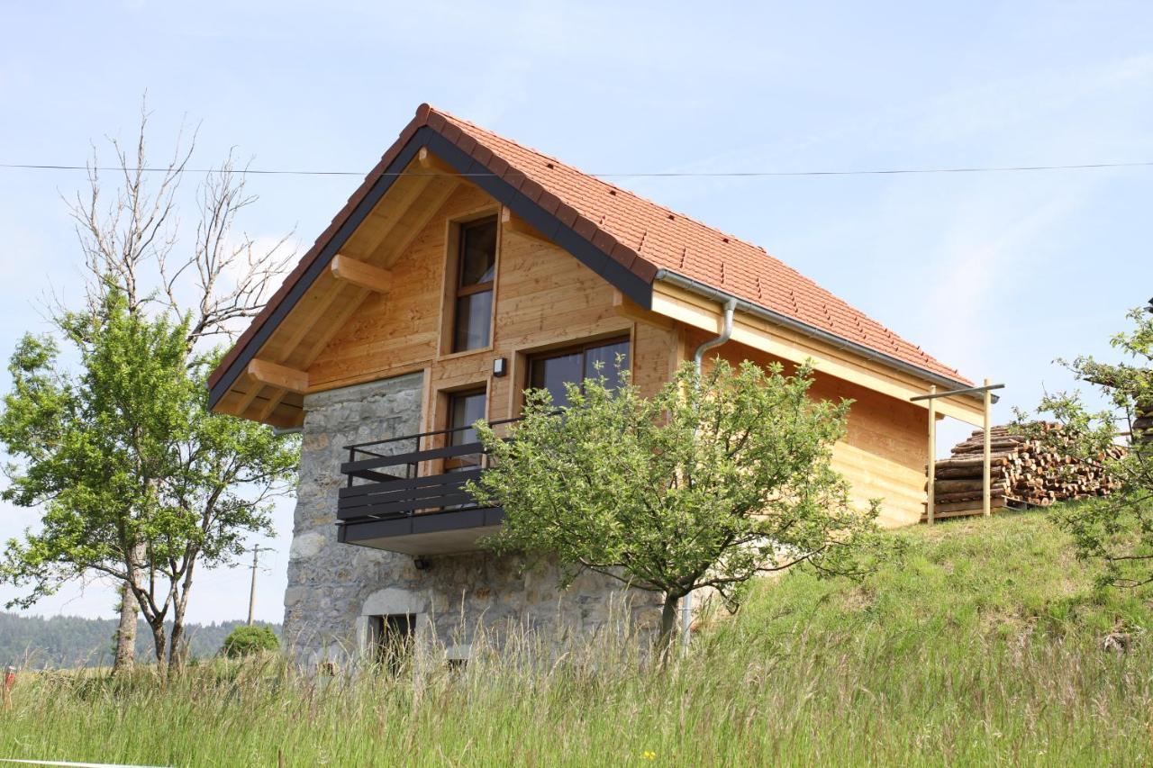Le Chalet Des Pierres Viuz-en-Sallaz Exterior foto