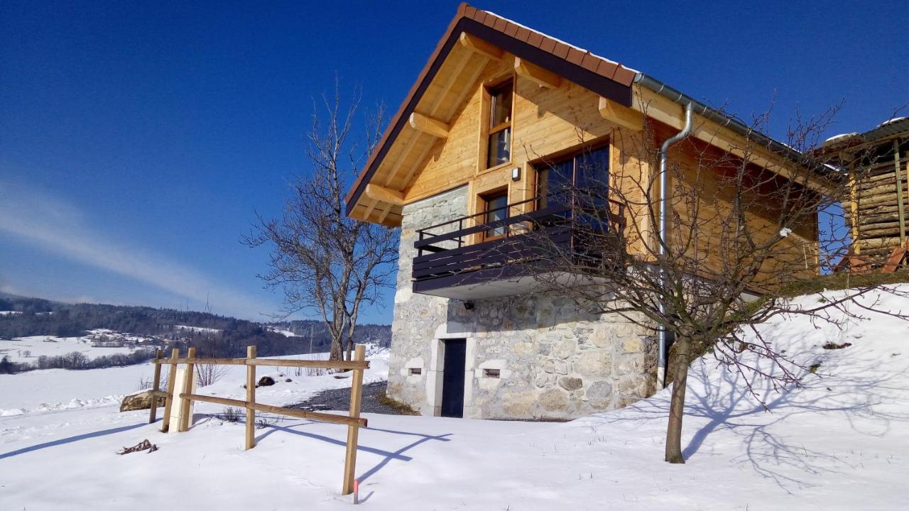 Le Chalet Des Pierres Viuz-en-Sallaz Exterior foto